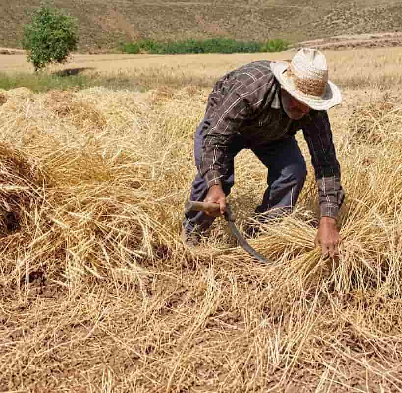 دروگر دستی با قدرت مناسب و عملکرد آسان